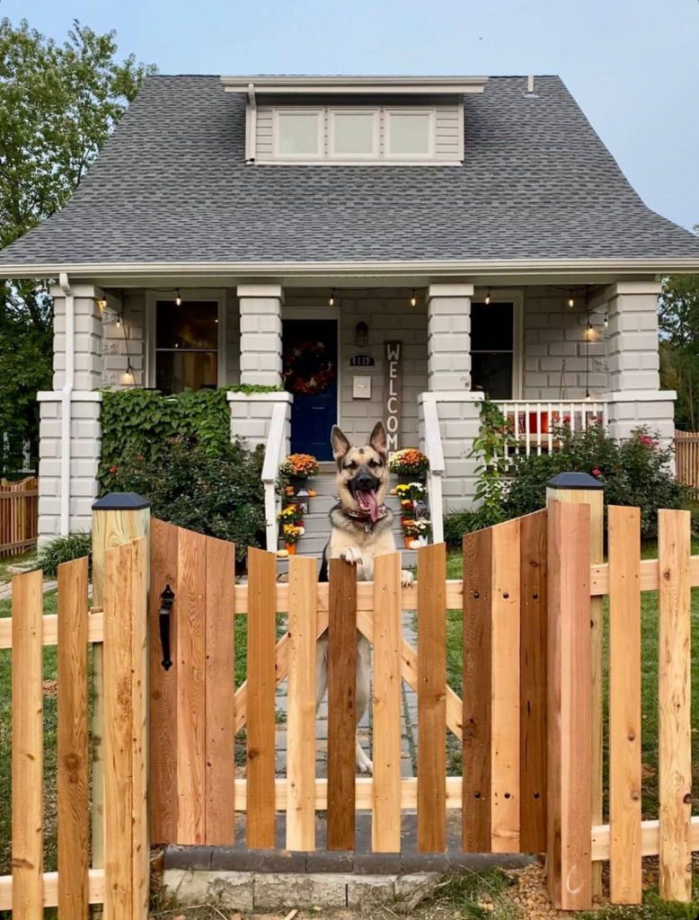 Best Fence Options For Your Dog and Other Furry Friends Fence & Deck
