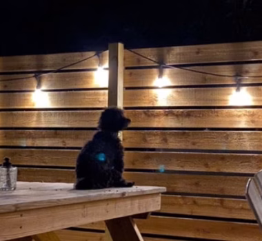 horizontal wood fence