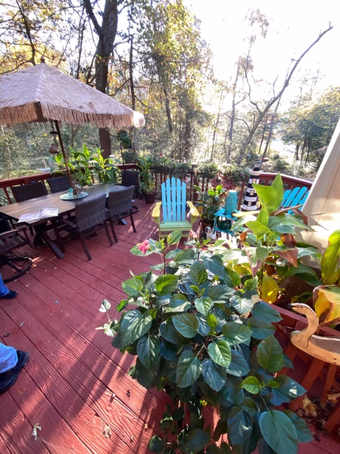 wooden deck before