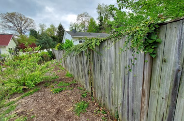 previous old wood fence that's falling down