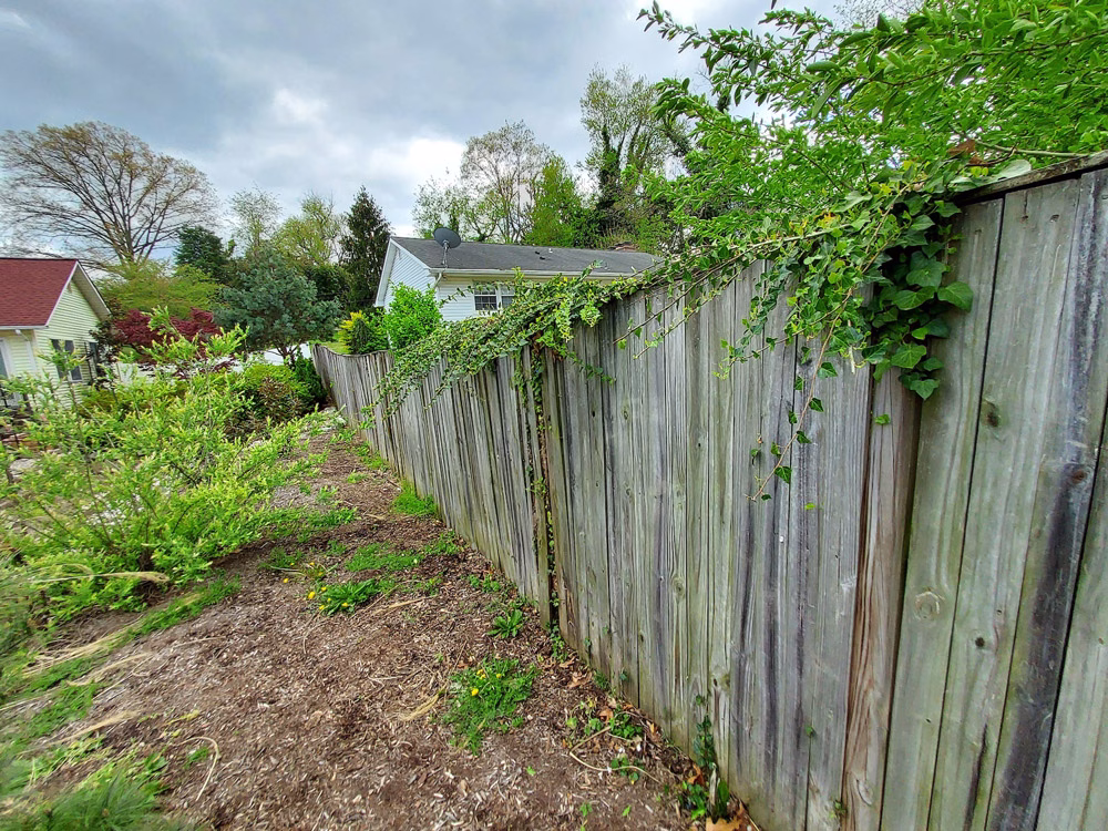previous old wood fence that's falling down