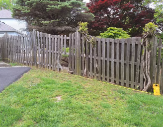 broken wooden fence that needs to be replaced