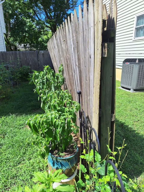 old wood fence in annapolis MD that needed to be replaced
