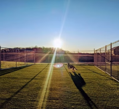 Chain link dog park fencing in Gambrills MD