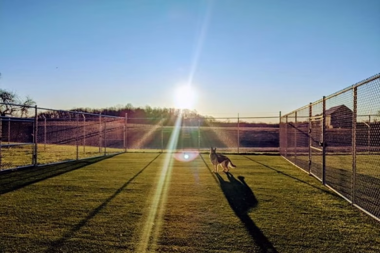 Chain link dog park fencing in Gambrills MD