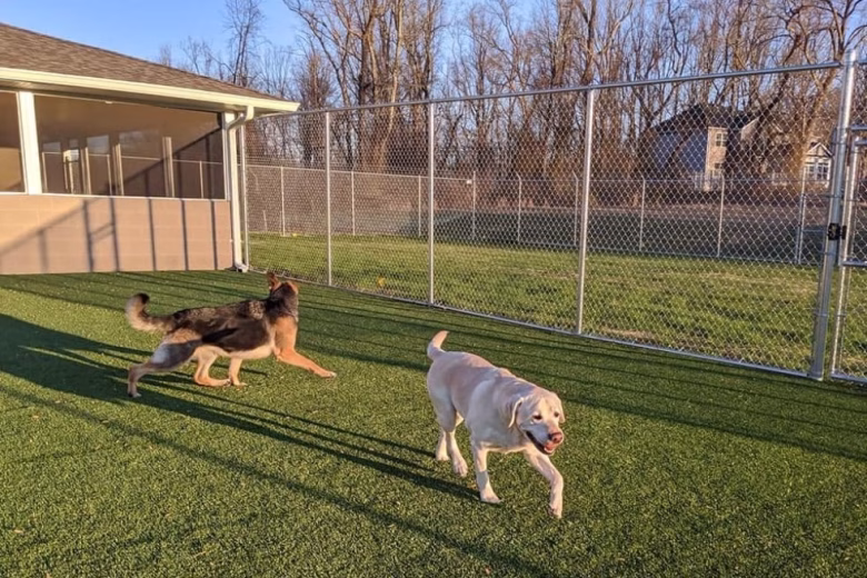 Chain link dog park fencing in Gambrills MD